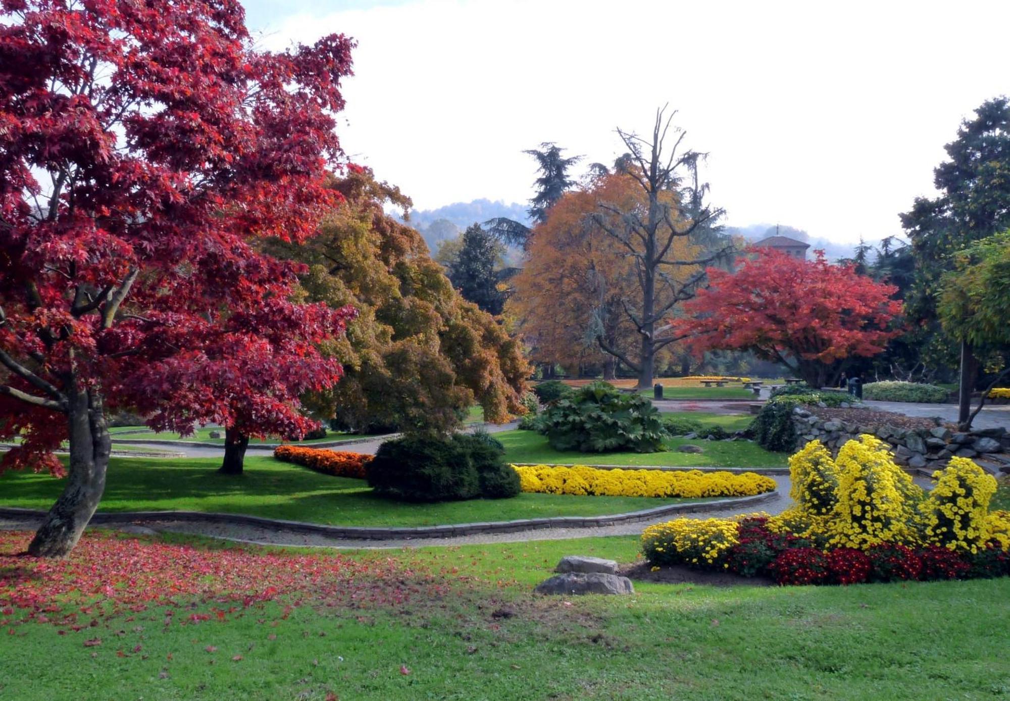 Centro Torino Elegante E Moderno Bilocale Daire Dış mekan fotoğraf